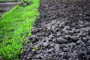 plowed land in the garden