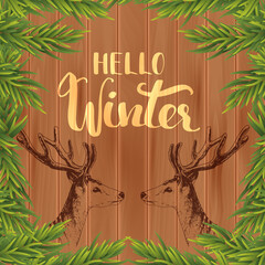 Hello winter quote, design for greeting card with hand drawn deers and fir branches