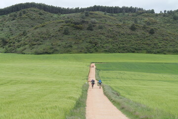 Backpackers walking through green meadows