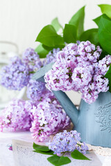 Beautiful fresh violet lilac bouquet in metal watering. Template for gardening, spring time. Greeting card for Saint Valentine's Day, 8 march, Women's day, Mother's day. White background, close up