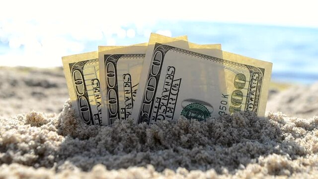 Three dollar bills are buried in sand on sandy beach near sea