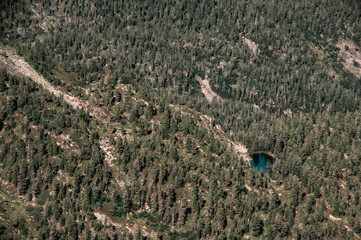 high view of forest and mountain lake at daylight 