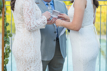 Same sex lgbt lesbian gay women exchanging rings during wedding ceremony - two brides