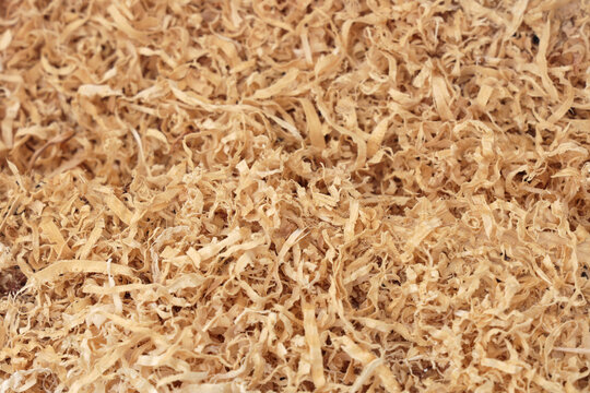 Trociny powstałe po obr&oacute;bce drewna. 