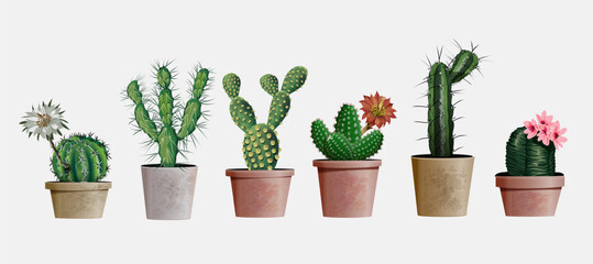 Collection of vector realistic detailed house or office plant cactus for interior design and decoration. Exotical and Popular indoor cacti with flowers for interior decor of home or office