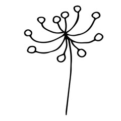 Vector illustration with a twig. Doodle style plant vector for banners and postcards.