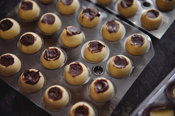 Closeup of manufacturing chocolate truffles. Spherical molds of white chocolate full of dark...