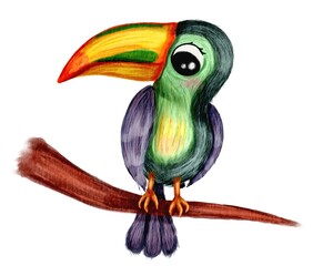 Hand drawn watercolor illustration of toucan tropical bird in cute  cartoon style, isolated on white. 