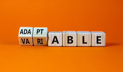 Adaptable or variable symbol. Turned wooden cubes and changed the word variable to adaptable....