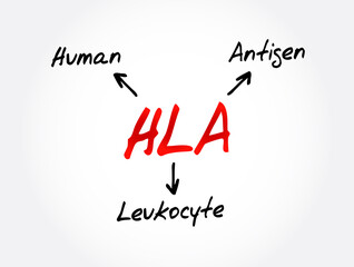HLA - Human Leukocyte Antigen acronym, medical concept background