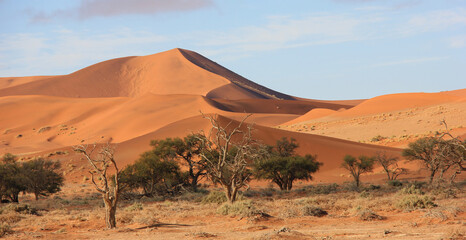 Fototapeta na wymiar Sand dunes at Sossusvlei in the Namibian desert, Africa