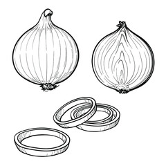 Hand Drawn Onion, half an onion, and onion rings. Black and white. Vector illustration isolated on a white background.