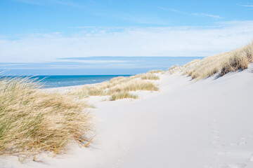Fototapeta na wymiar Dunes by the sea. Coastal vegetation. Plants in the dunes. Polish sea. Empty beach. White sand. View of the dunes and the sea. Poster. Postcard