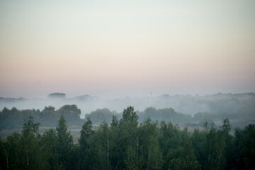 Obraz na płótnie Canvas summer field at sunrise with fog