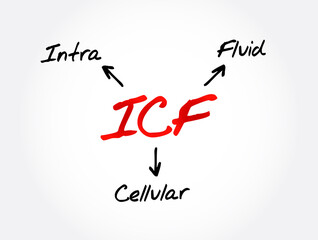 ICF - intracellular fluid acronym, medical concept background