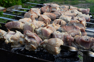 Appetizing pieces of meat are cooked on skewers on the grill