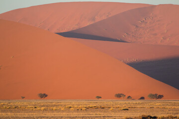 Fototapeta na wymiar red dunes of sossusvlei during sunrise