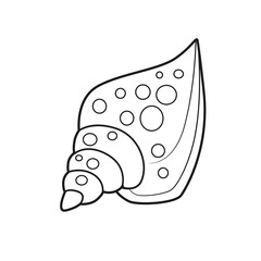 Miter cone shell in the dotted outlined for coloring page isolated on white background