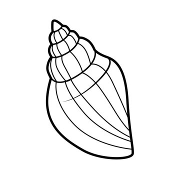 Miter cone shell outlined for coloring page isolated on white background