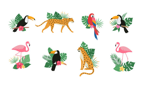 Cute toucan bird, parrot, flamingo, leopard with tropical exotic leaves and flowers of hibiscus and plumeria. Bright colorful vector animal illustration set in cartoon style