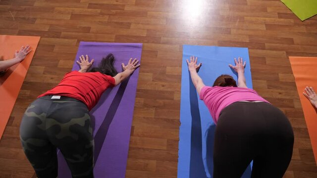 Sporty ladies in coloured t-shirts and leggings stretch backs standing on feet and hands on mats at yoga classes close upper backside view