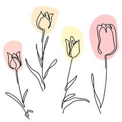 hand drawn Line art monoline flowers . Vector illustration
