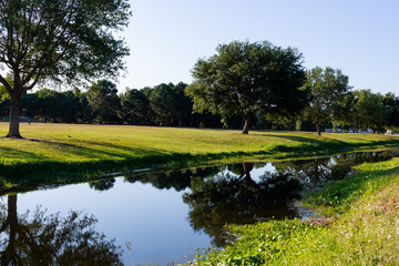 Fototapeta na wymiar Beautiful Park in South Tampa, Florida