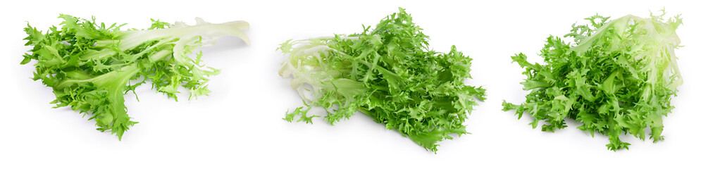 Fresh green leaves of endive frisee chicory salad isolated on white background with full depth of field. Set or collection