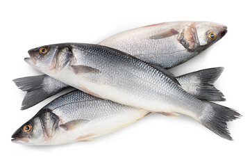 Sea bass fich isolated on white background with clipping path. Top view. Flat lay
