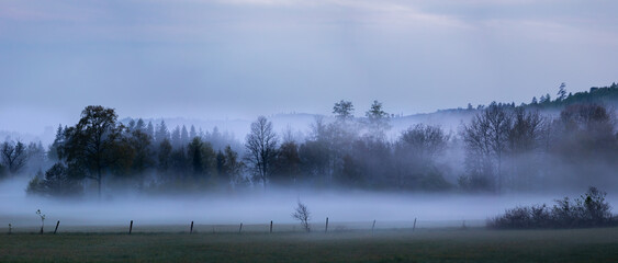 Panorama of field and trees with evening mist. Shot in Sweden, Scandinavia