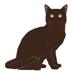 Isolated realistic cat image Vector illustration design