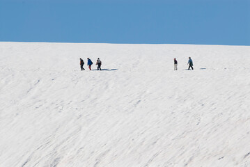Tourists walking on Antarctic beach, Neko Harbor, Antarctic Peninsula