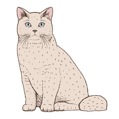 Isolated realistic cat image Vector illustration design