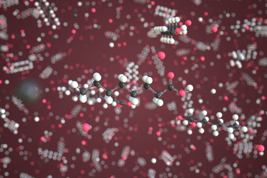 Octanoic acid molecule made with balls, conceptual molecular model. Chemical 3d rendering
