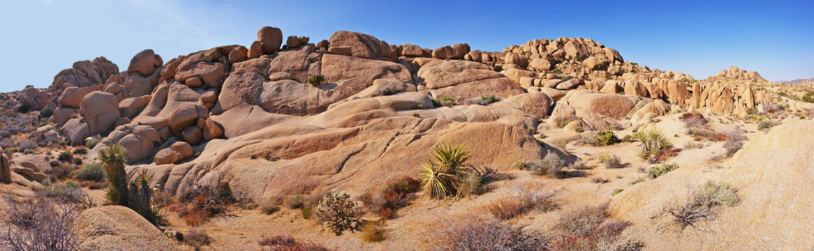 Joshua Tree National Park - Panoramic image of rocky desert landscape