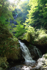 涼やかな白猪の滝　愛媛県東温市