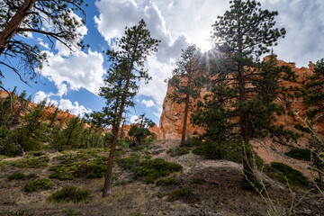 Fototapeta na wymiar Wide angle view of Bryce Canyon National park, as seen from the Queens Garden trail into the canyon