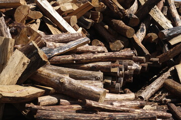 Logs stacked in sawmill