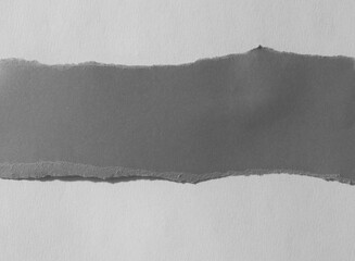 pieces of torn paper texture background and have copy space for design in your work.