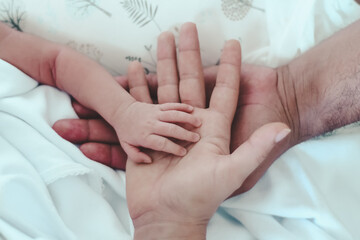 Newborn 