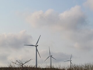 wind turbines farm