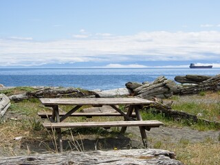 Fototapeta na wymiar Driftwood strewn along the beach of Esquimalt lagoon on Vancouver Island