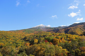山肌に広がる立体的な紅葉の向こうに雪化粧した硫黄山が見える