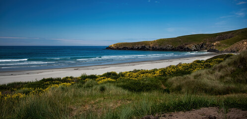 Scenic View of Otago Harbour, New Zealand