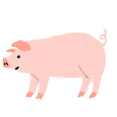 豚　養豚　手書き　素材　イラスト 
 - obrazy, fototapety, plakaty