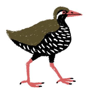 61 件の最適な ヤンバルクイナ 画像 ストック写真 ベクター Adobe Stock