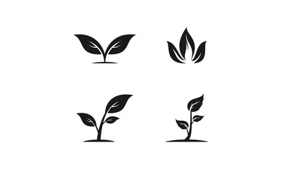 Fototapeta na wymiar Natural leaf set illustration vector