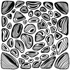 Sea shells of zenart. Hand drawn vector monochrome graphic print.
