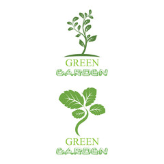 Leaf icon Vector Illustration design Logo template