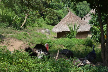 sierra nevada de santa marta adventures